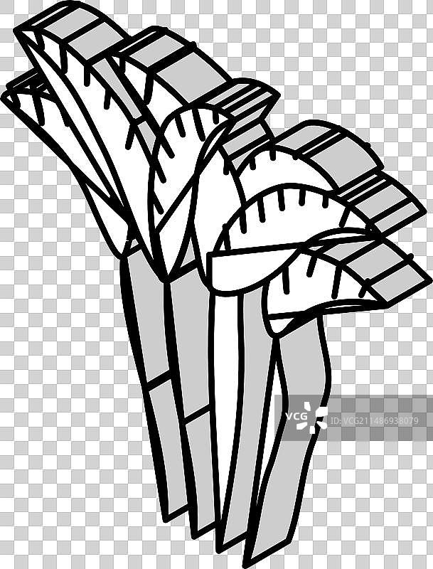 2.5D槟榔树等距图标图片素材