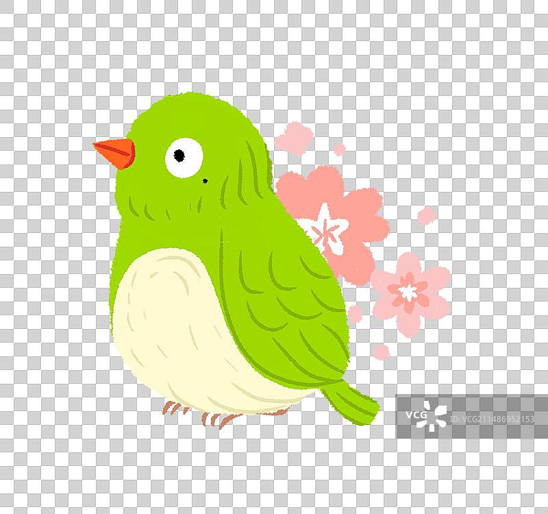 春日花朵和可爱的小绿鸟插画图片素材