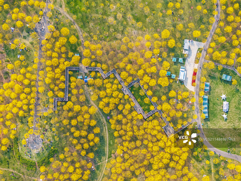 南宁青秀山风铃谷航拍图片素材