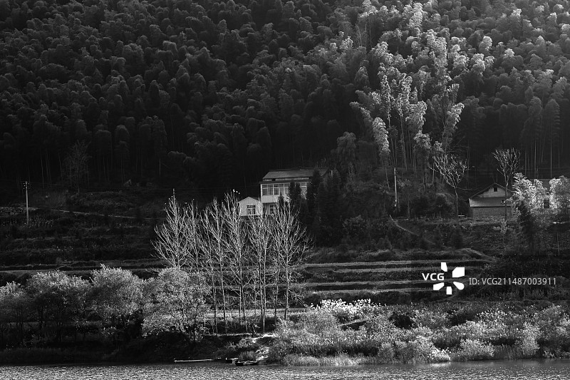 安徽霍山大别山冬景黑白影像(7)图片素材