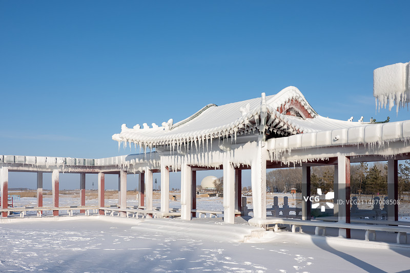 黑龙江齐齐哈尔扎龙丹顶鹤保护区图片素材