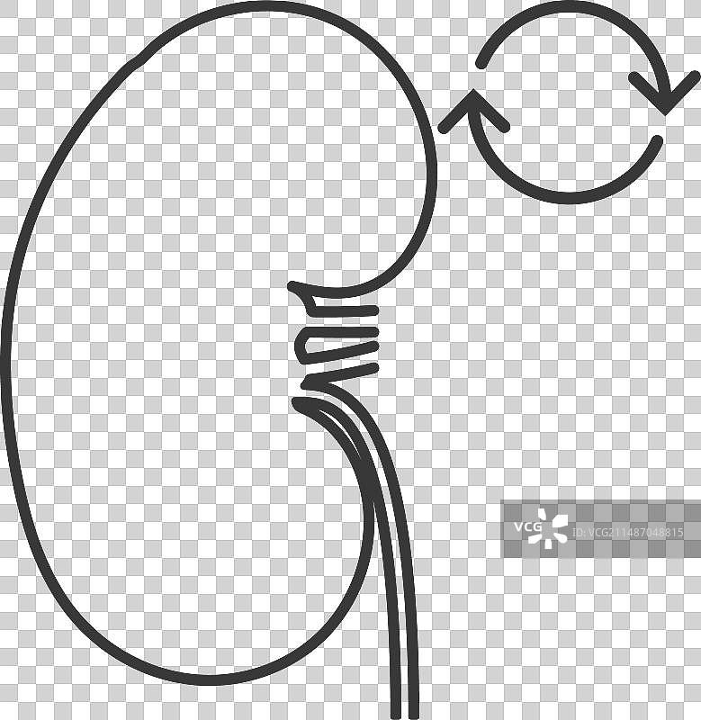 移植肾脏图标图片素材