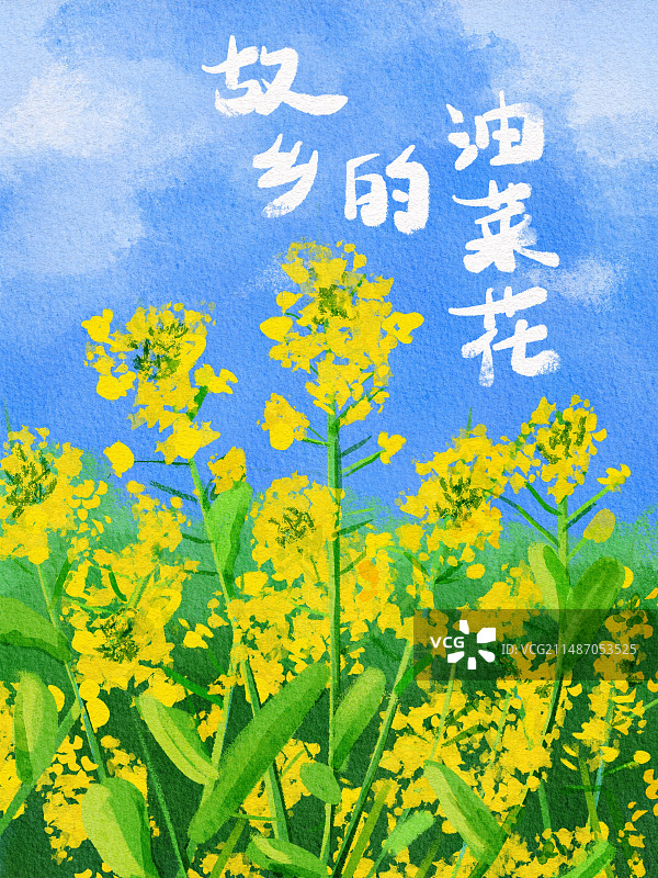 故乡的油菜花图片素材