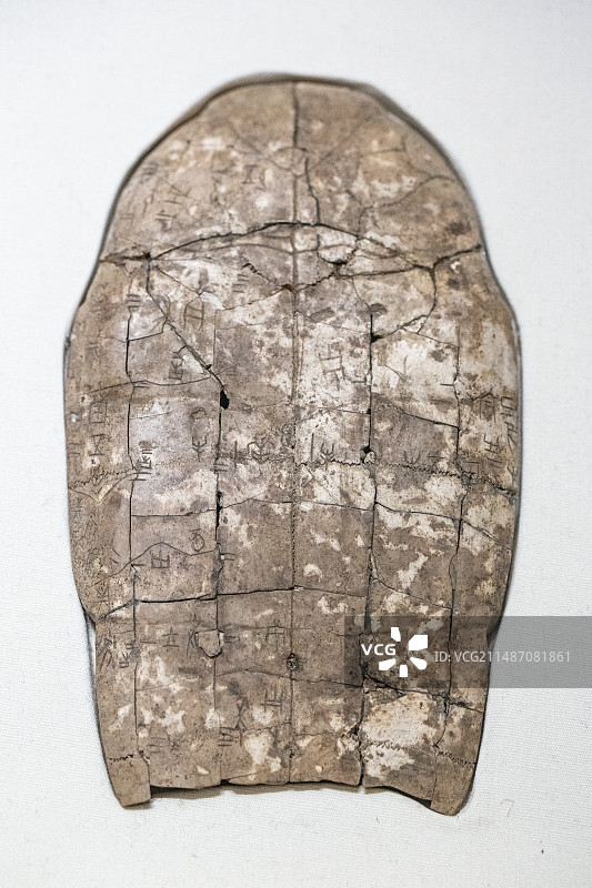 中国国家博物馆收藏商王武丁时期甲骨文卜甲图片素材