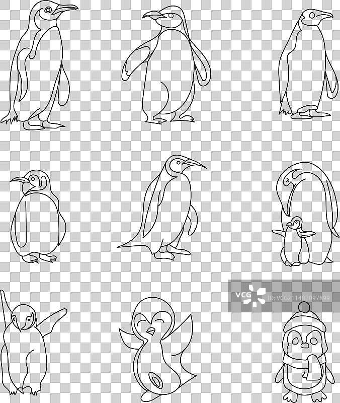 企鹅填色书图片素材