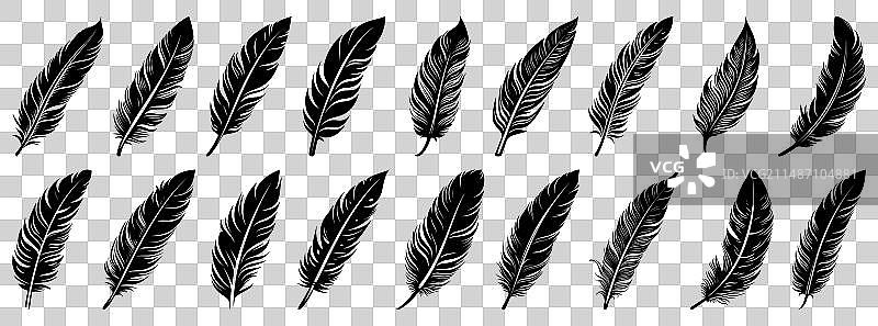 黑色羽毛图标合集图片素材