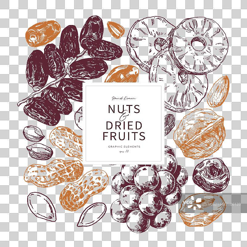 坚果干果轮廓海报图片素材
