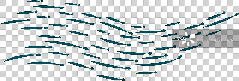 鱼群海洋生物图片素材