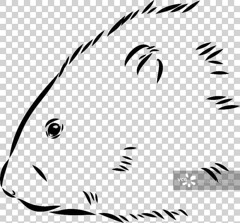 白色背景上的麝鼠轮廓图片图片素材