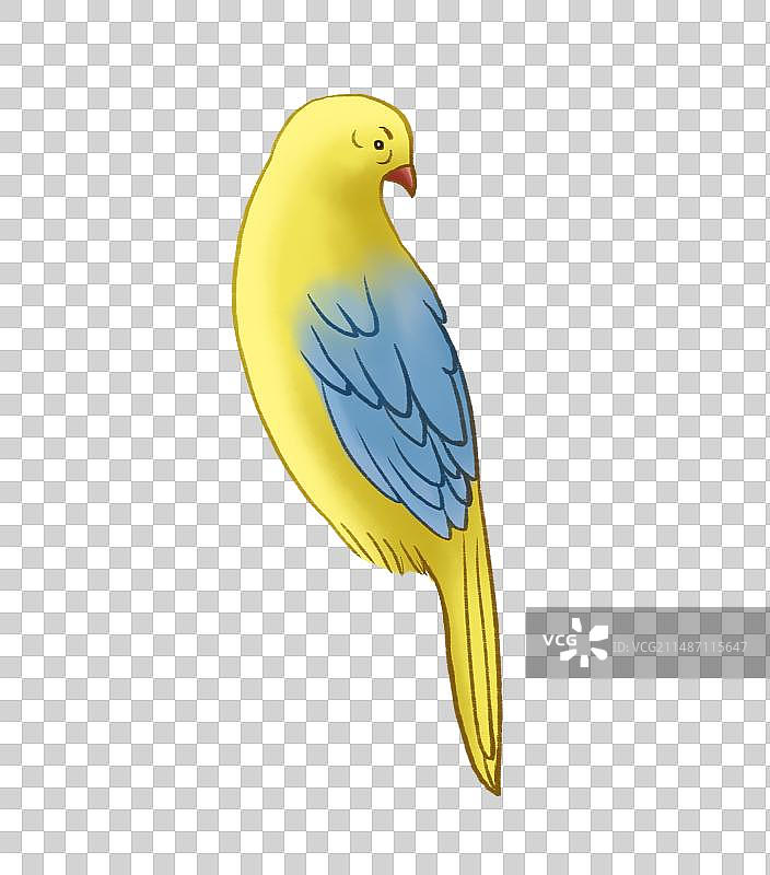 鹦鹉元素图片素材