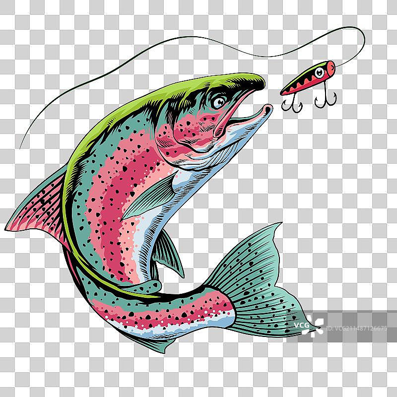 虹鳟鱼跃出水面捕鱼图片素材