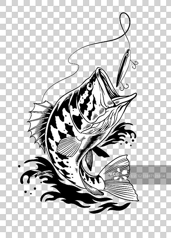 鲈鱼咬住鱼饵图片素材