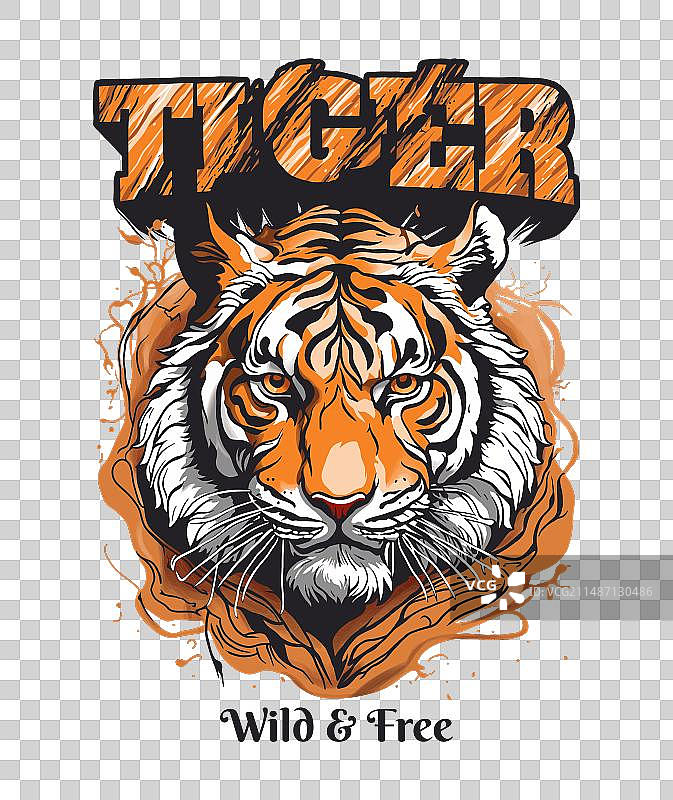 老虎头手绘细节图片素材