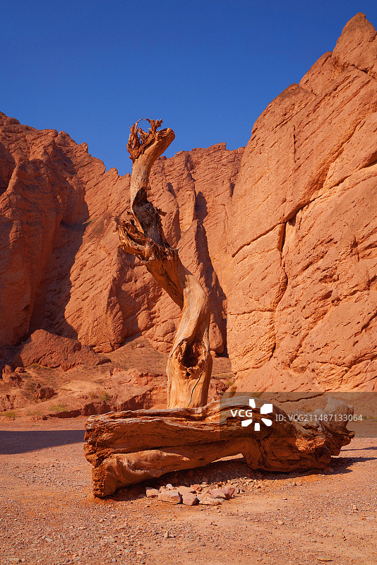 黄河石林国家地质公园风景摄影图片素材