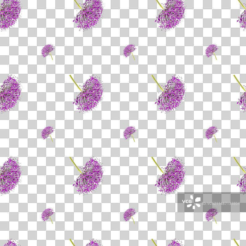 葱属植物花卉无缝图案设计图片素材