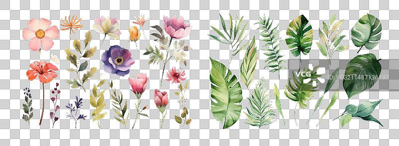 手绘水彩优雅合集图片素材