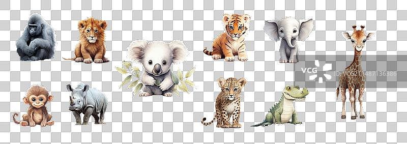 精细婴儿动物合集图片素材