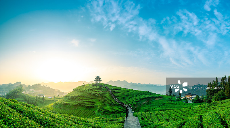 中国湖北省恩施州伍家台茶园日出广角全景风光图片素材