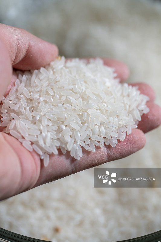 大米图片素材