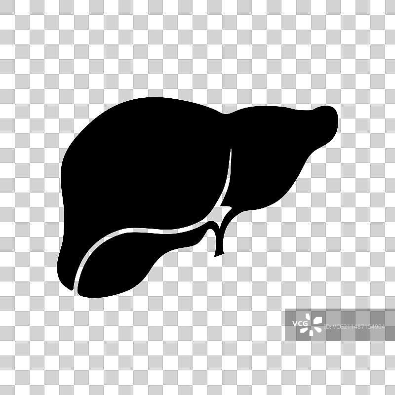 扁平图标：人体肝脏，内部器官健康符号图片素材