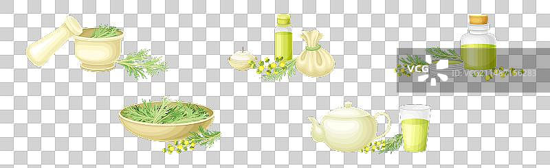 艾草或南方艾草植物提取物和草本图片素材