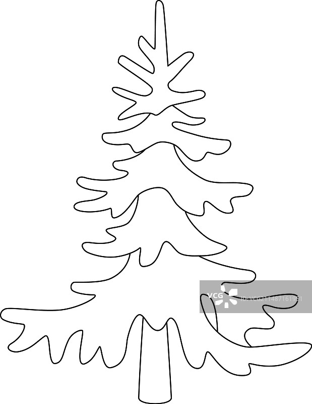 云杉针叶树常绿植物图片素材