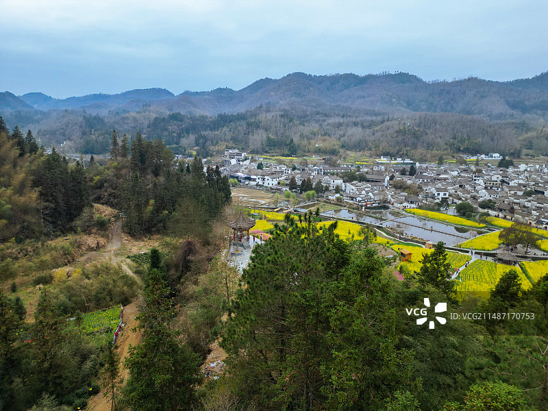 西递 徽派建筑 安徽 古村 写生 油菜花 航拍 黄山图片素材