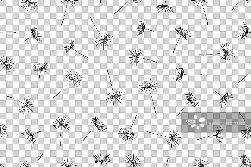 蒲公英花纹图案图片素材