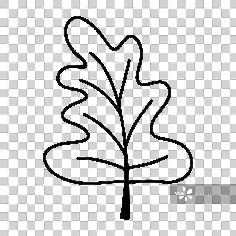 可爱的涂鸦秋季橡树叶图片素材