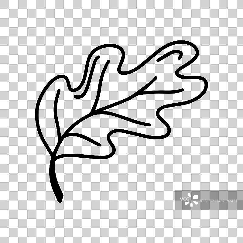 可爱的涂鸦秋季橡树叶图片素材