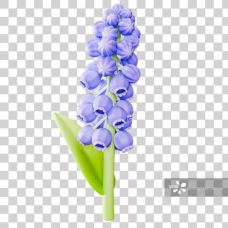 3D立体花朵元素春日踏青赏景出游旅行图片素材