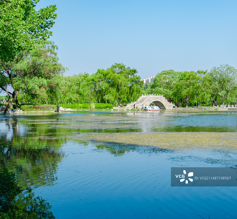 中国山东泰安都市风光拍摄主题，凤凰湖的湖泊河流和大理石拱桥桥梁建筑，户外白昼无人图像摄影图片素材