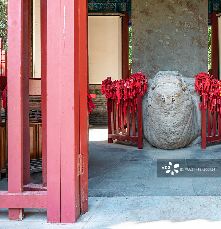 中国山东泰安泰山区泰山旅游景区著名景点，行宫岱庙的古典式碑刻拍摄主题,石碑乌龟赑屃，户外无人图像摄影图片素材