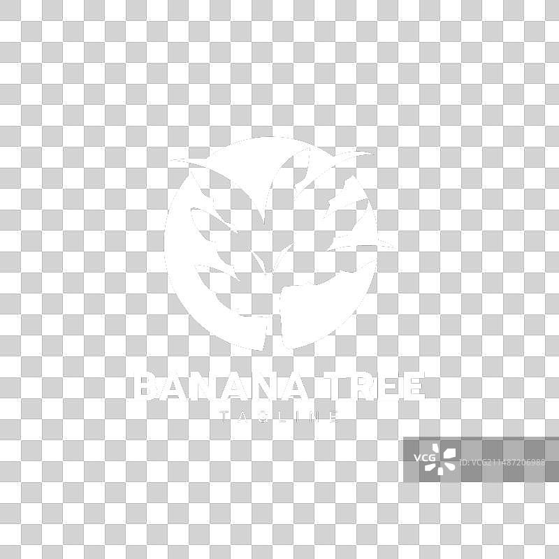 香蕉树标志图片素材