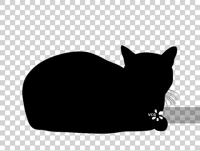 可爱的黑色小猫躺在地上剪影图片素材