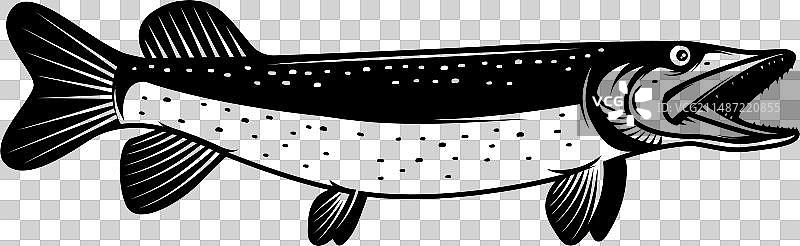 单色风格狗鱼图片素材