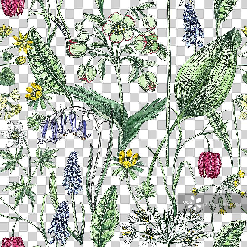 春季花卉野花无缝图案图片素材