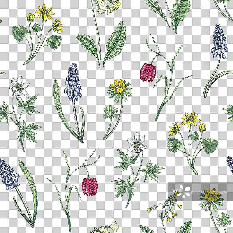 春季花卉野花无缝图案图片素材