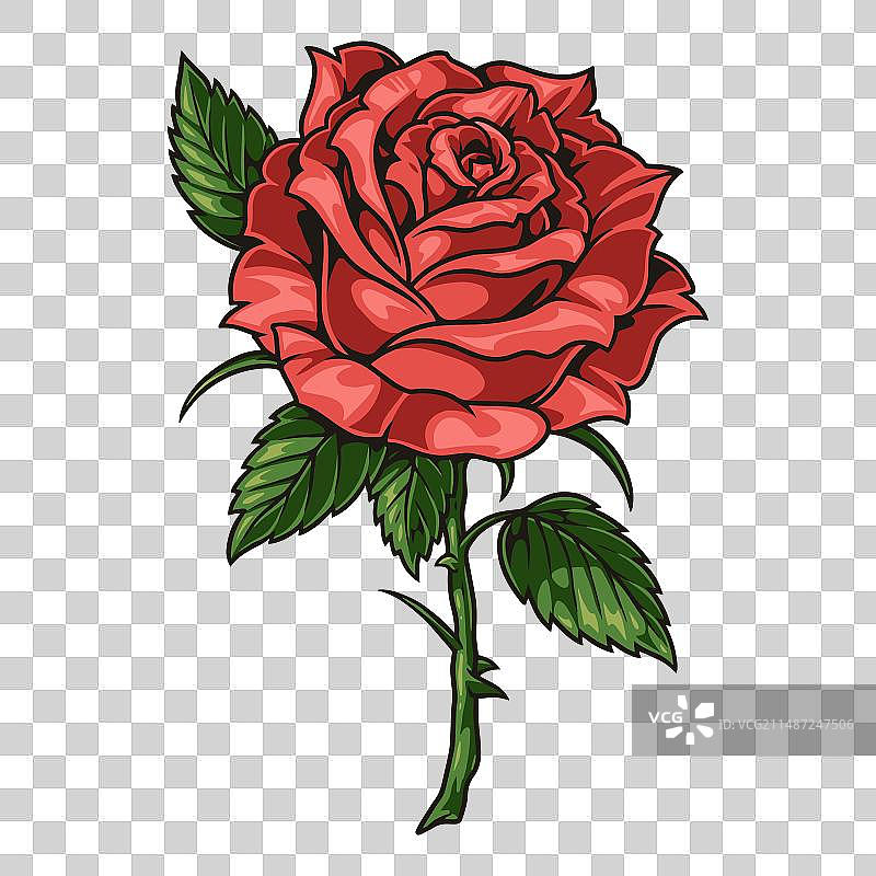 复古彩色玫瑰花贴纸图片素材