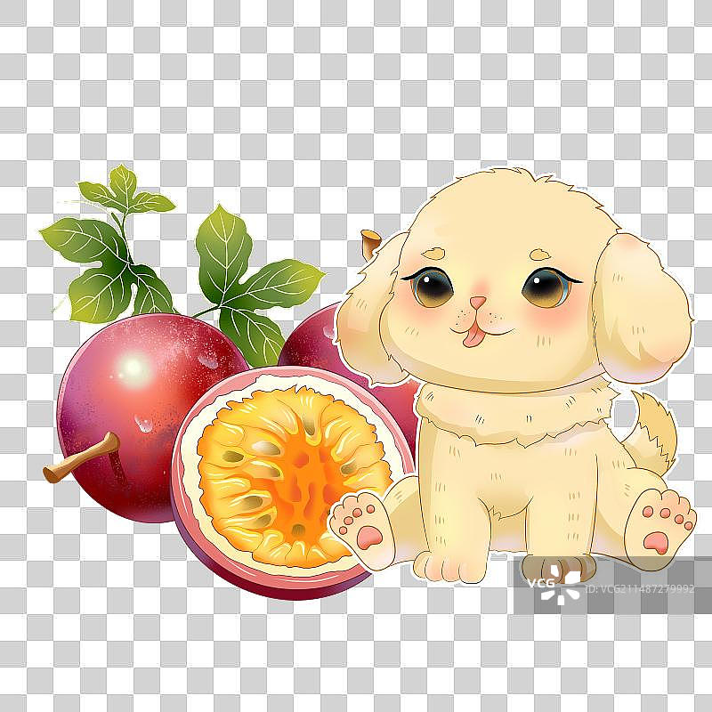 小狗与百香果图片素材