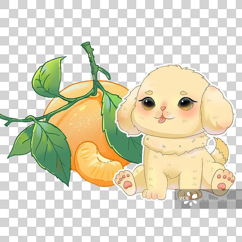 小狗与橘子图片素材