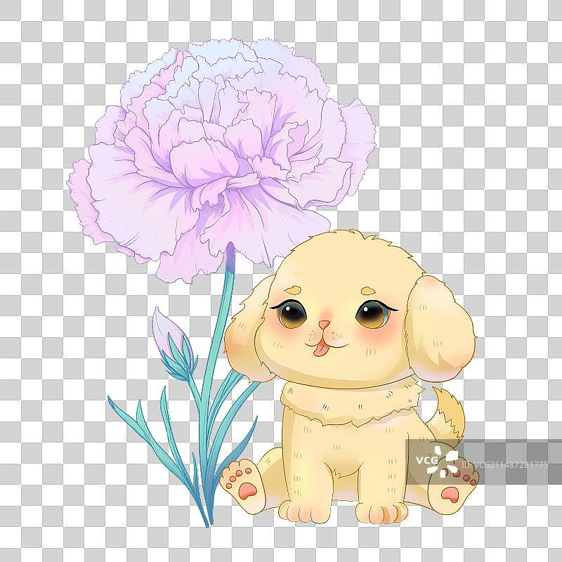 小狗与康乃馨图片素材