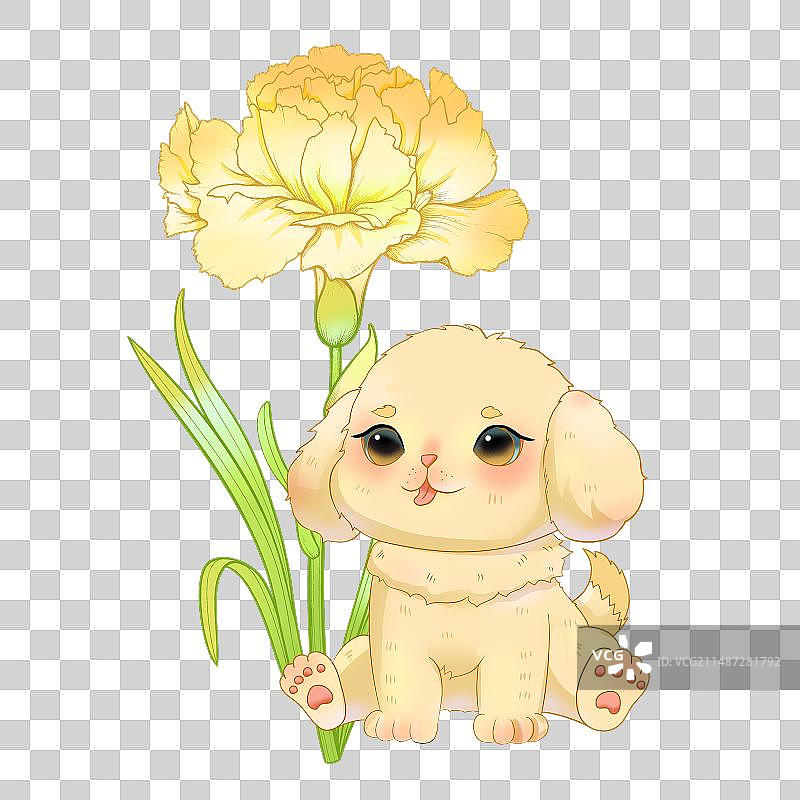 小狗与康乃馨图片素材