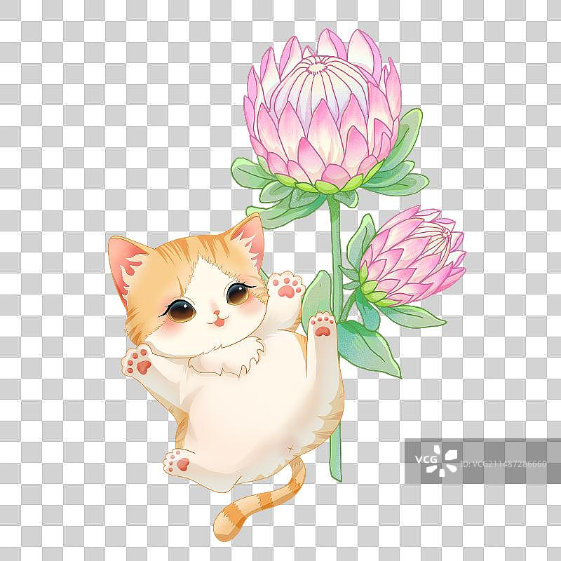 小猫与帝王花图片素材