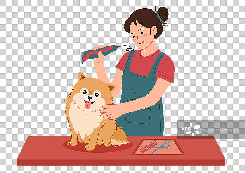 宠物店 为宠物梳理毛发的妇女图片素材