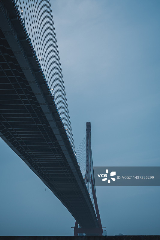 杨浦大桥图片素材