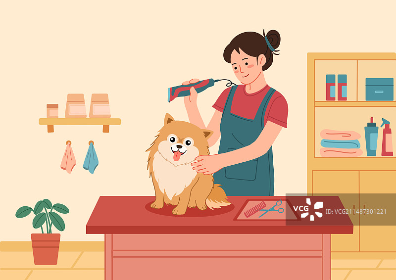 宠物店 为宠物梳理毛发的妇女图片素材