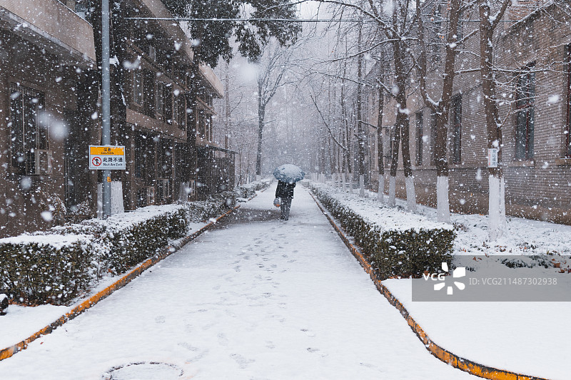 雪天 雪景图片素材