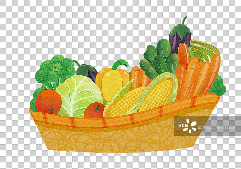 蔬菜篮子插画图片素材
