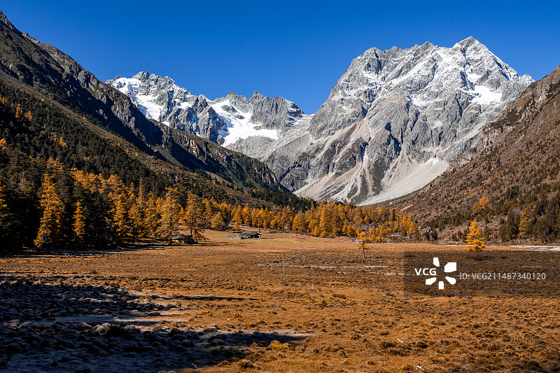 白马雪山秋色图片素材